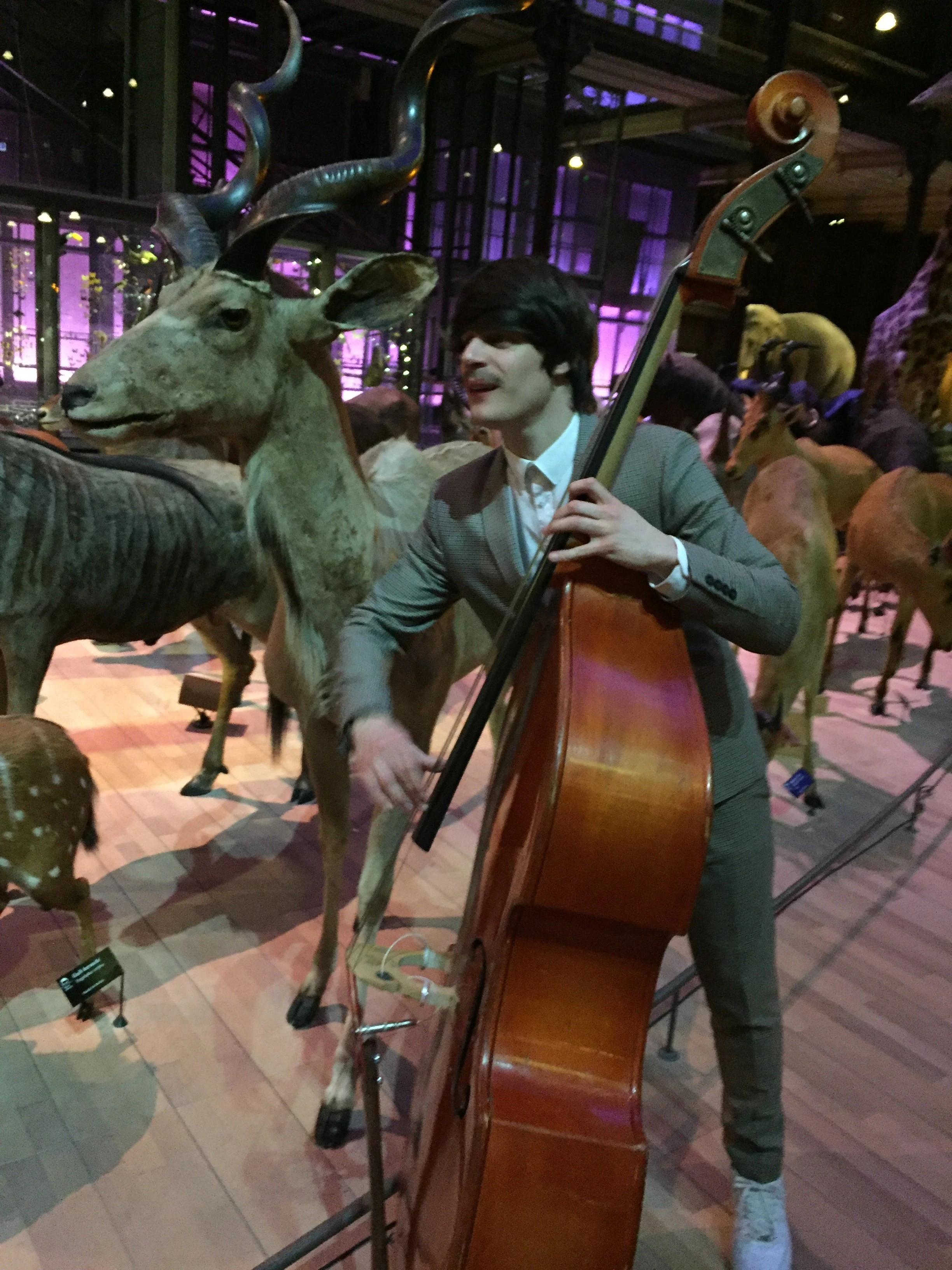 Natural History Museum