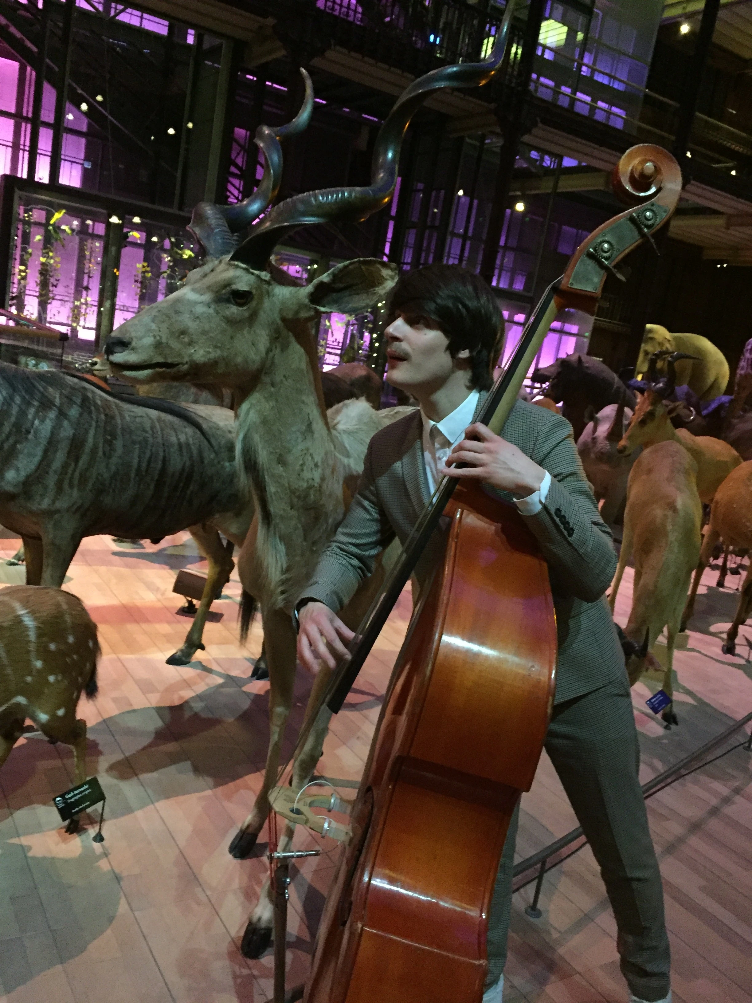 Elements Jazz at the Natural History Museum, Paris — Private Jazz