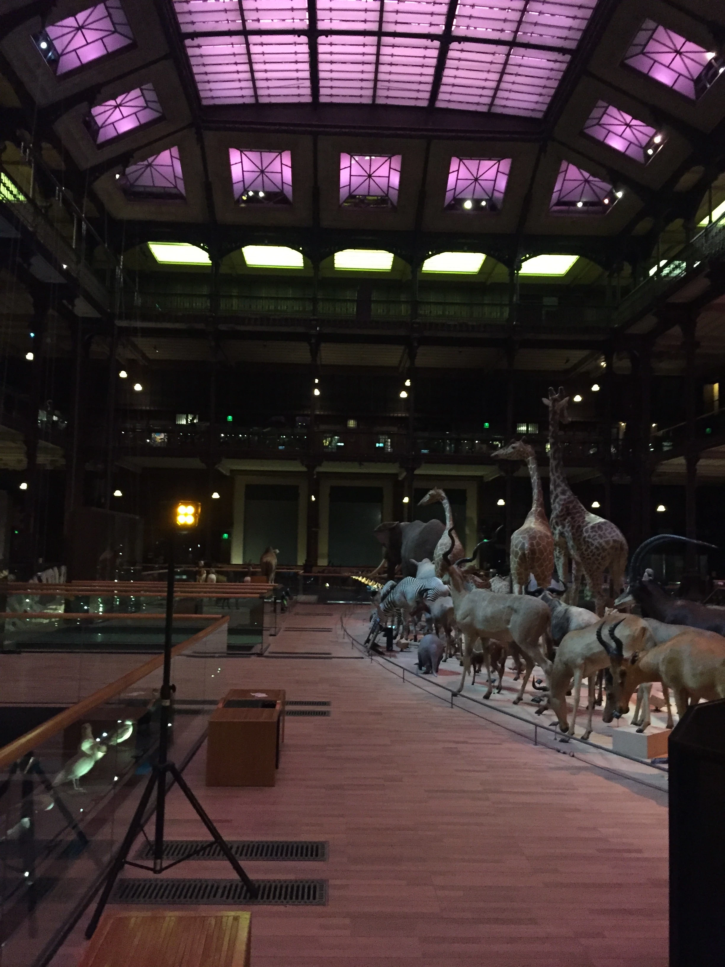 Natural History Museum