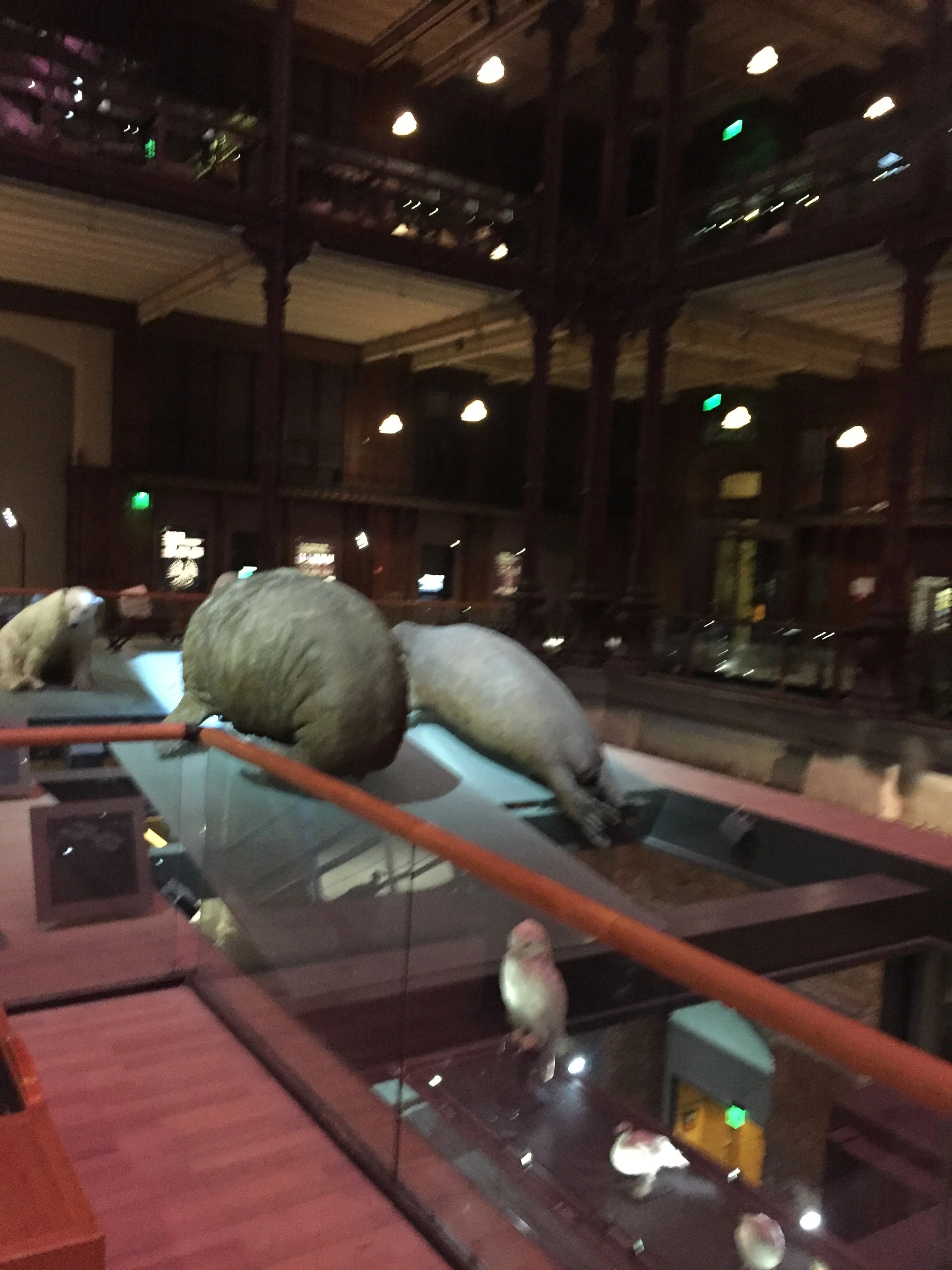 Natural History Museum