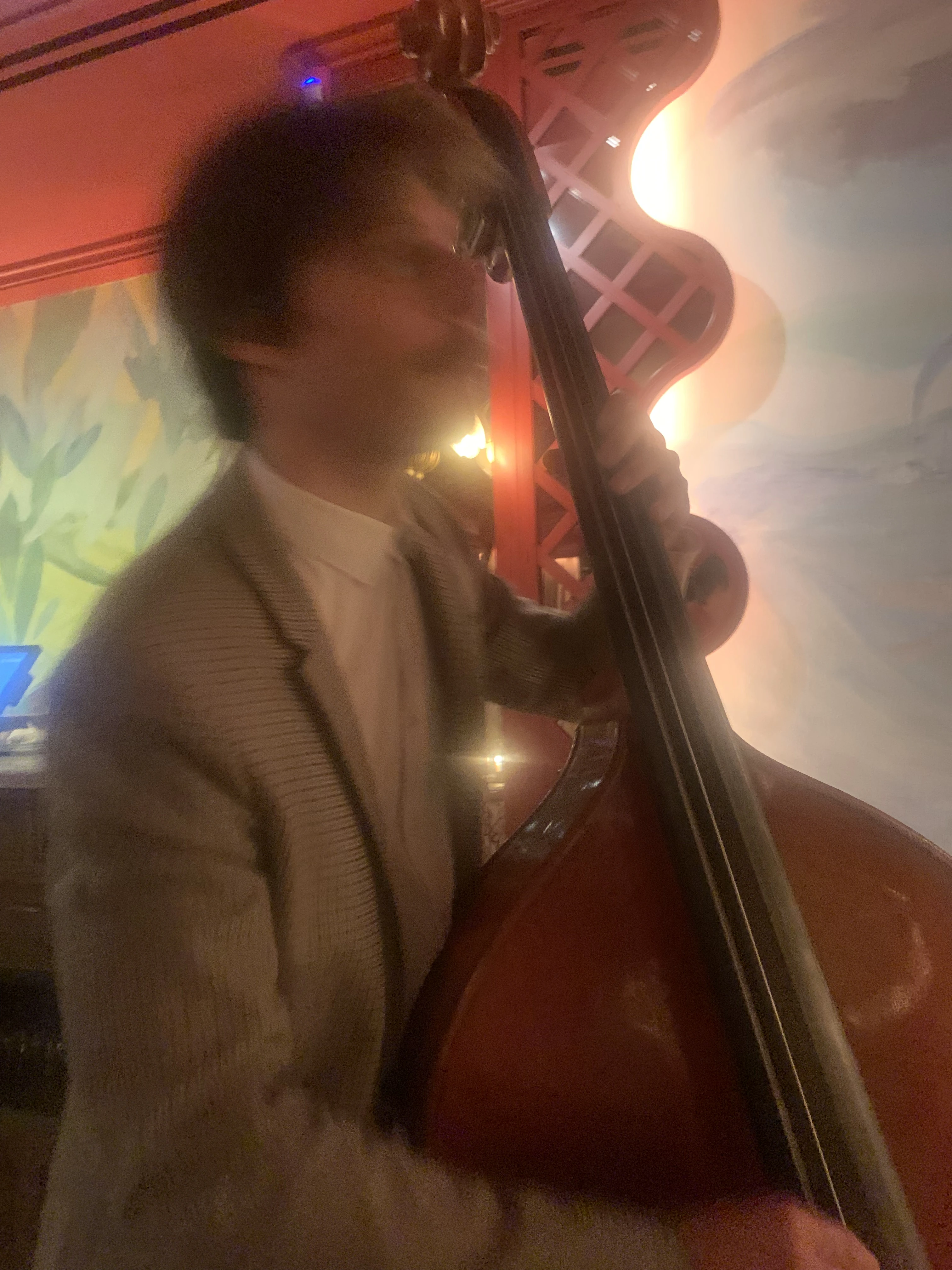 Elements Jazz Trio at a Seine Riverside Restaurant, Paris